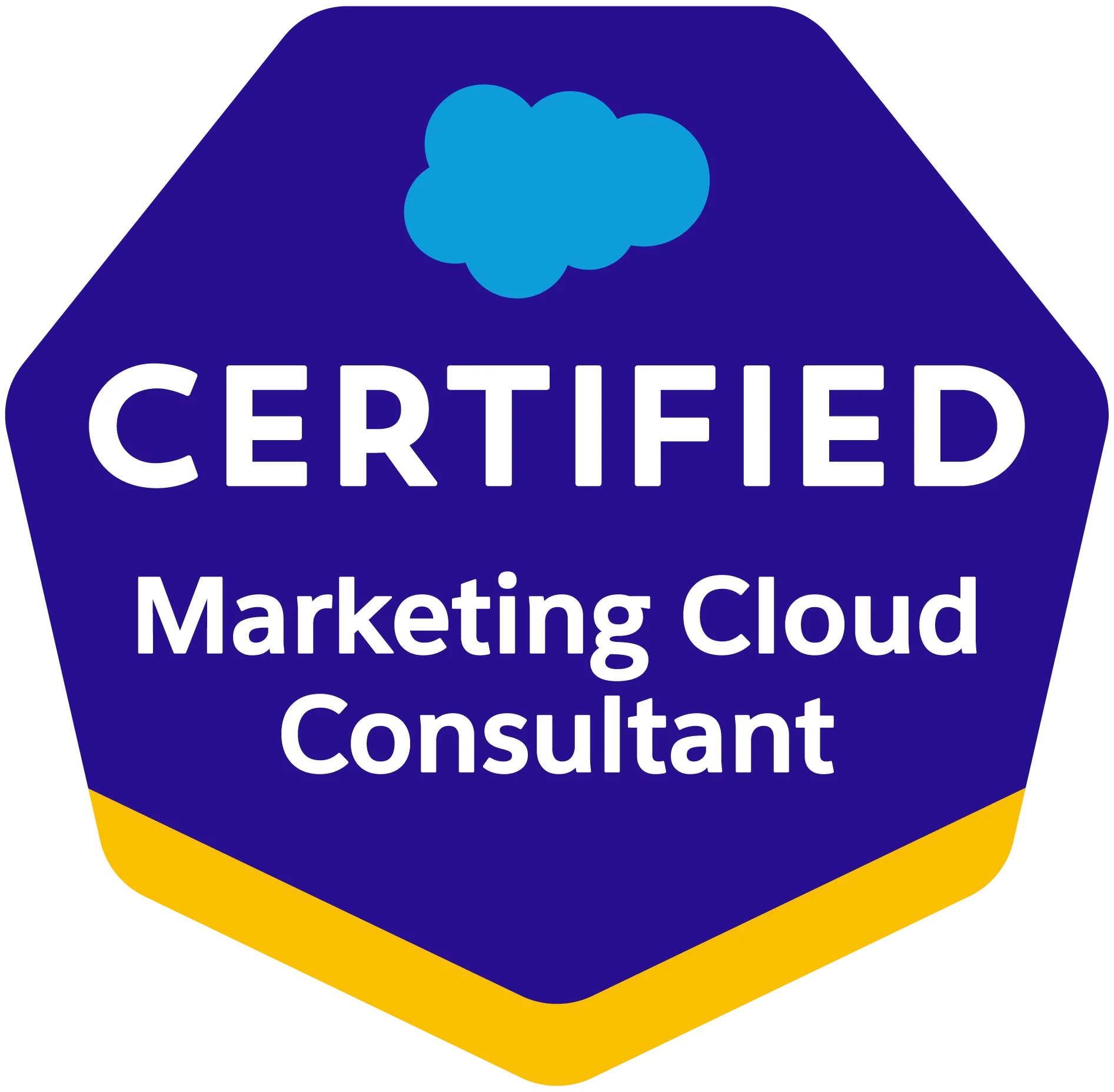 Marketing Cloud Consultant Certification