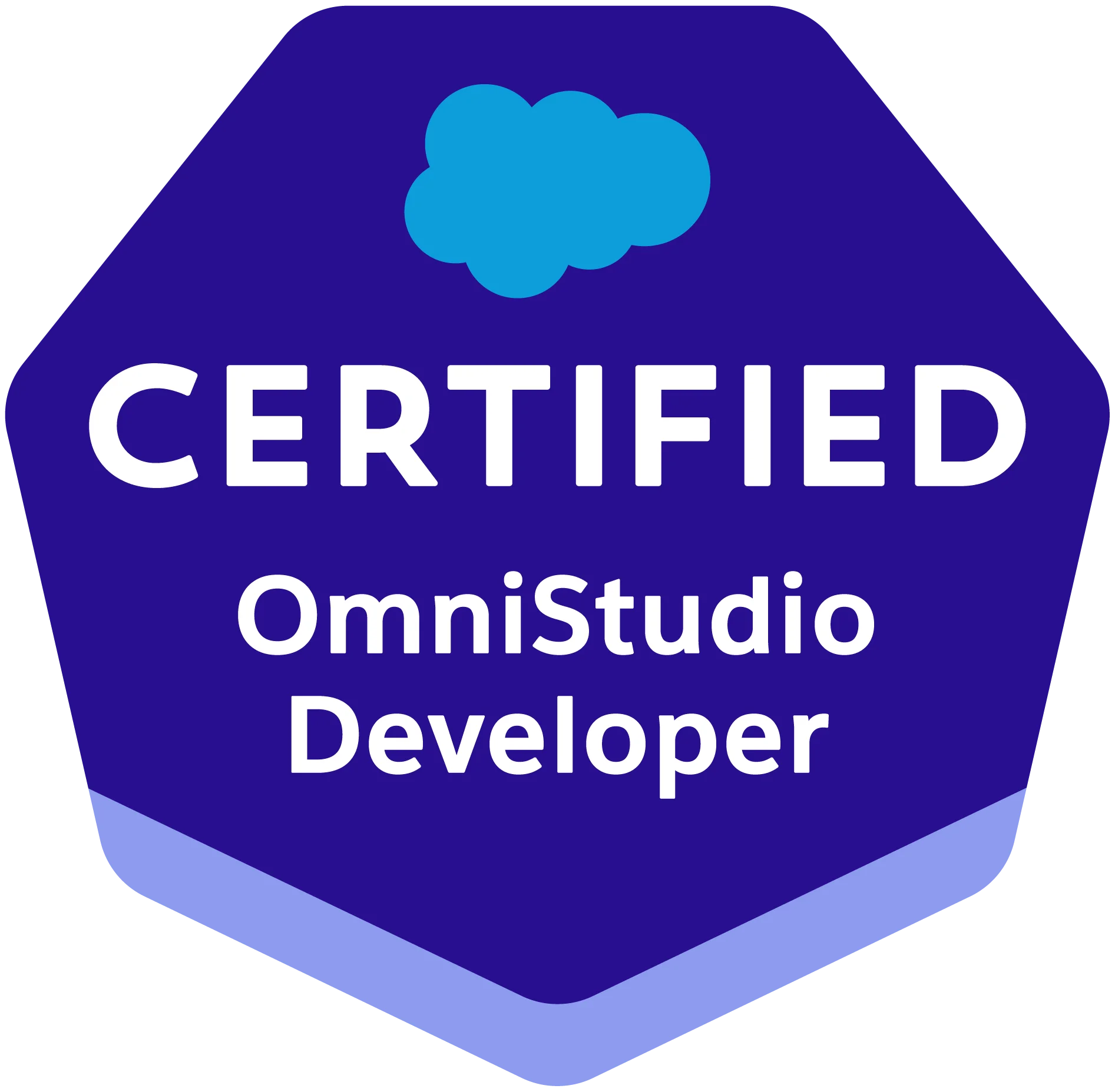Omnichannel Developer Certification